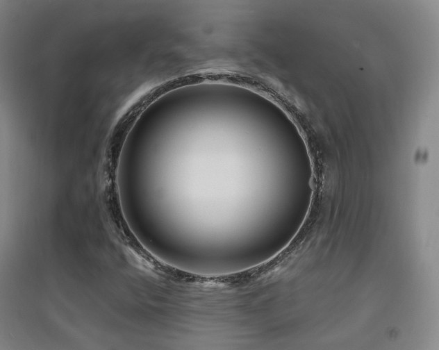 X0000094431400200711081215