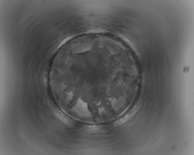 X0000094431401200711081215