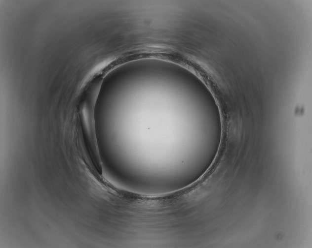 X0000094431402200711081215