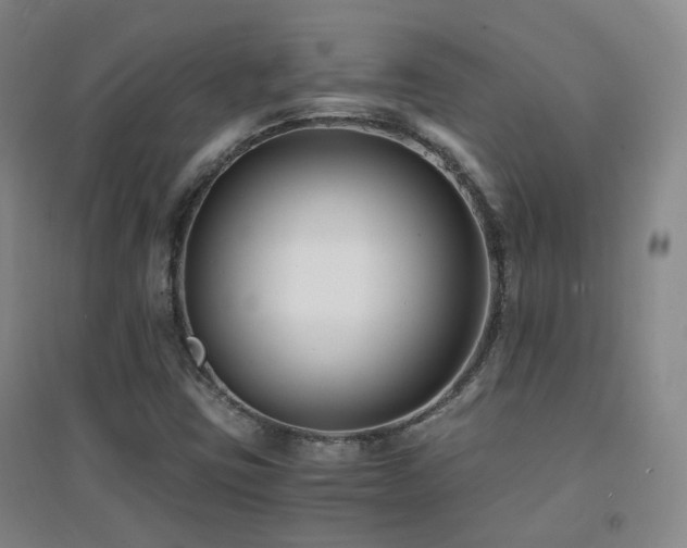 X0000094431403200711081215