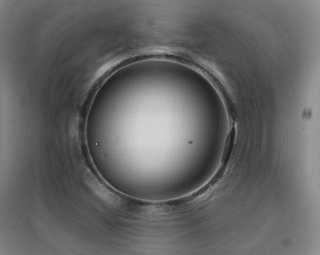 X0000094431404200711081215