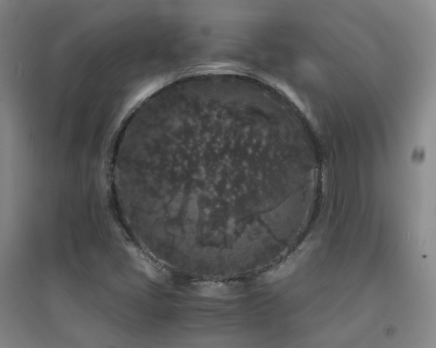 X0000094431405200711081215