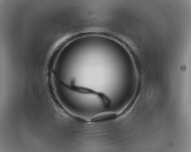 X0000094431406200711081215
