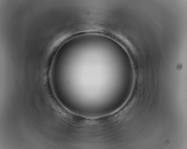 X0000094431407200711081215