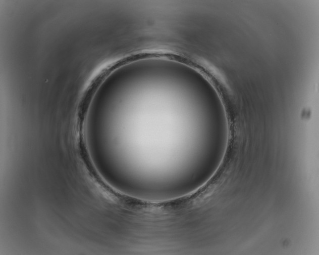 X0000094431408200711081215