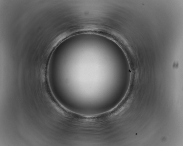 X0000094431409200711081215