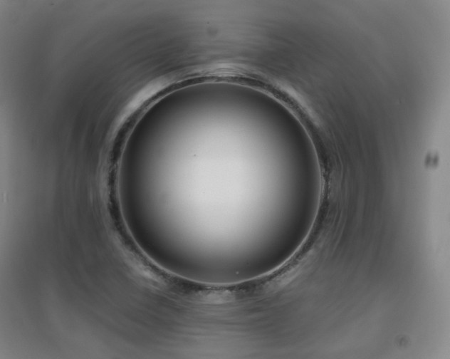 X0000094431410200711081215