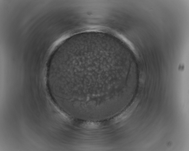 X0000094431411200711081215