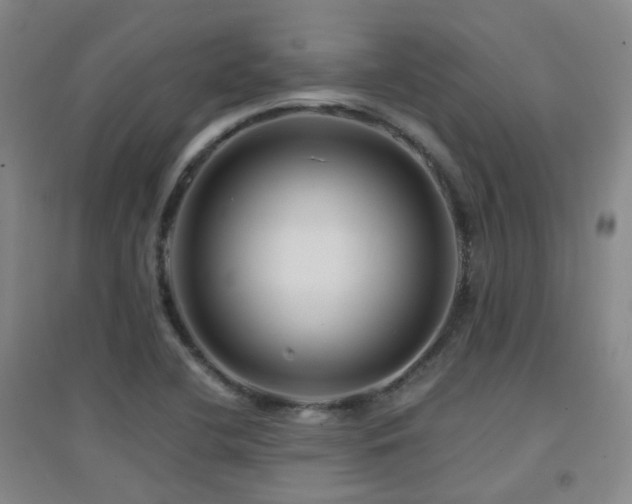 X0000094431412200711081215