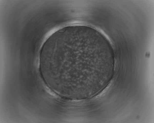 X0000094431413200711081215