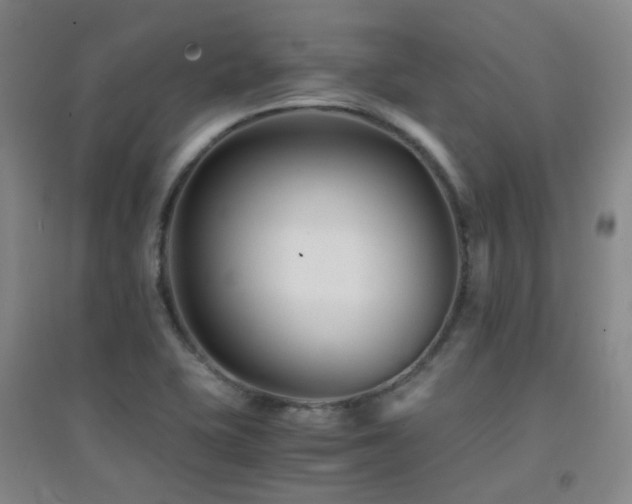 X0000094431415200711081215