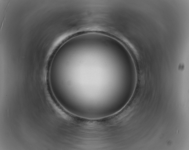 X0000094431416200711081215