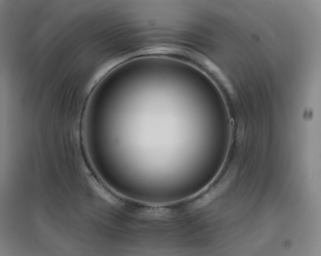 X0000094431417200711081215
