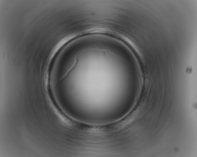 X0000094431418200711081215