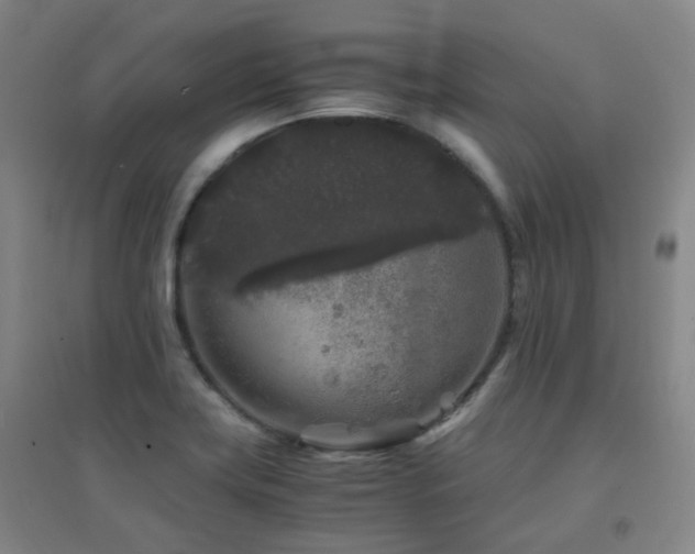 X0000094431419200711081215