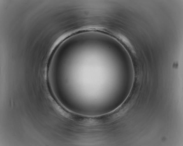 X0000094431420200711081215