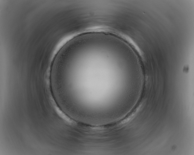 X0000094431421200711081215
