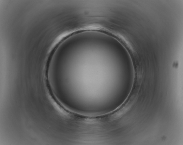 X0000094431422200711081215