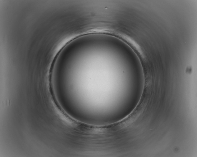X0000094431423200711081216