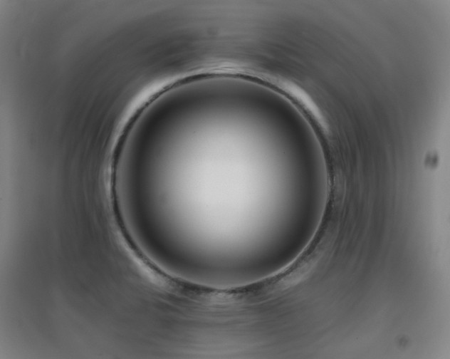 X0000094431424200711081216