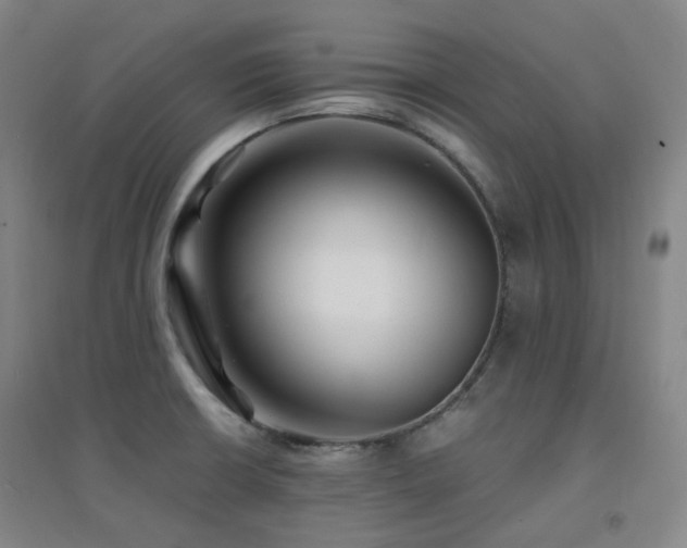X0000094431426200711081216