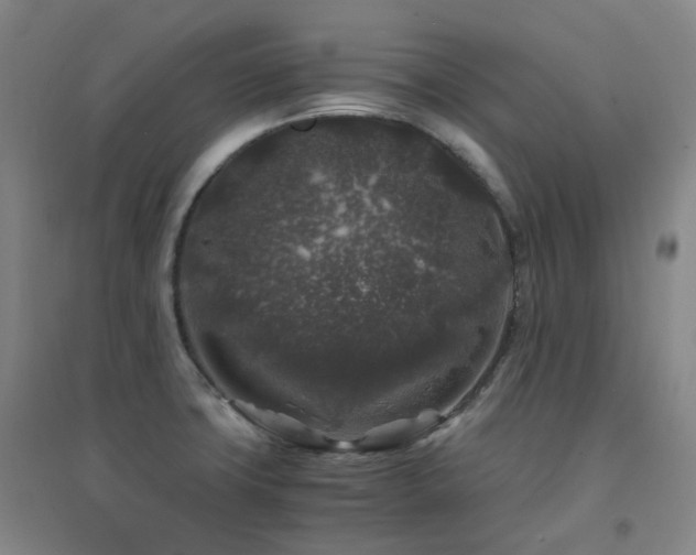 X0000094431427200711081216