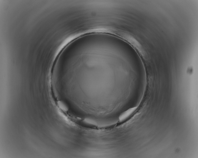 X0000094431428200711081216