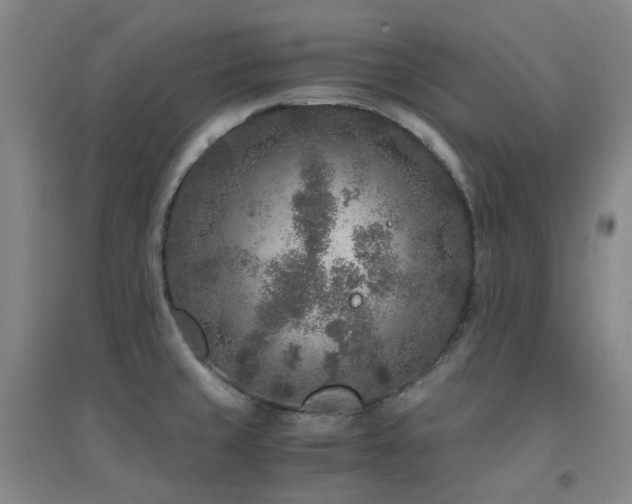 X0000094431429200711081216