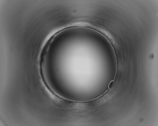 X0000094431430200711081216