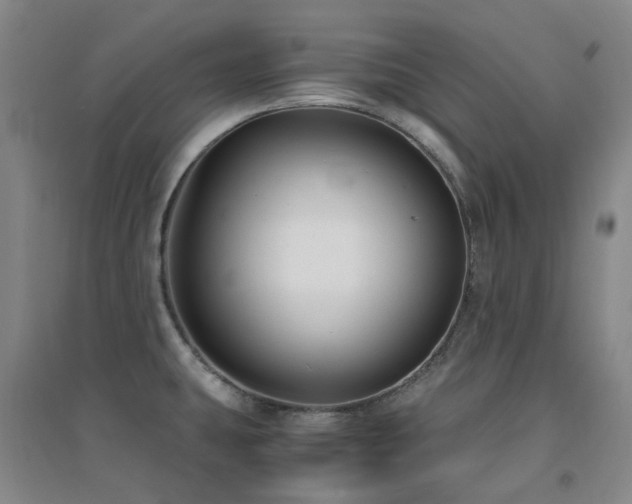 X0000094431431200711081216