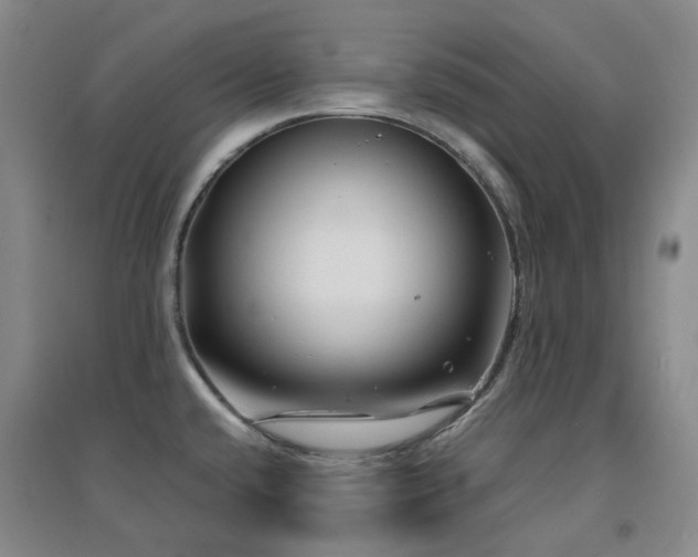 X0000094431432200711081216