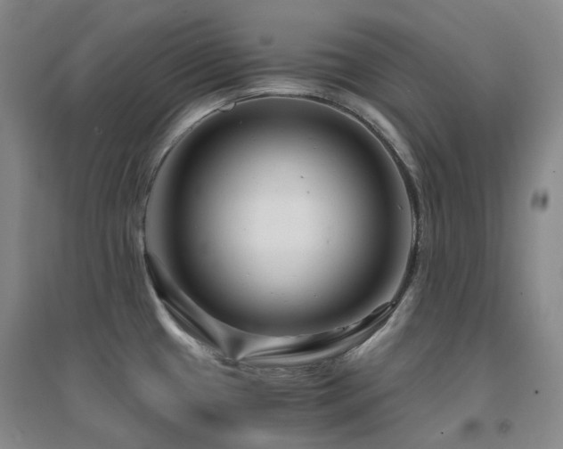 X0000094431433200711081216