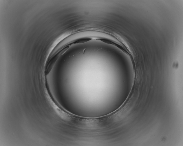 X0000094431434200711081216