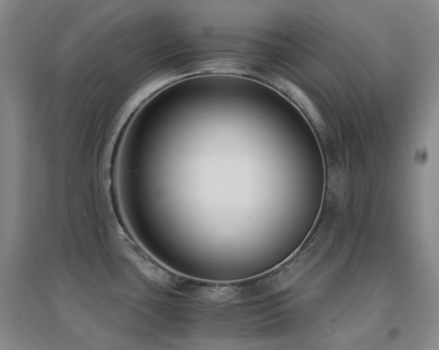 X0000094431435200711081216