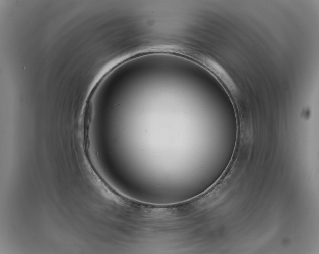X0000094431436200711081216
