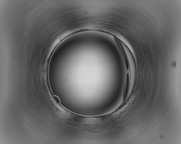 X0000094431437200711081216