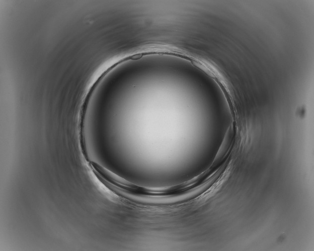 X0000094431438200711081216