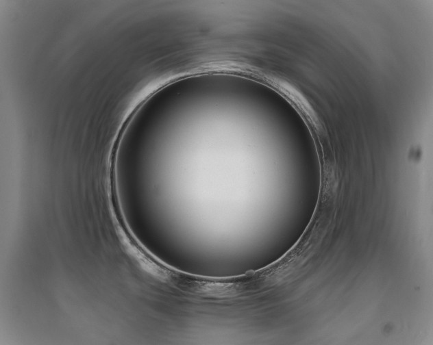 X0000094431439200711081216