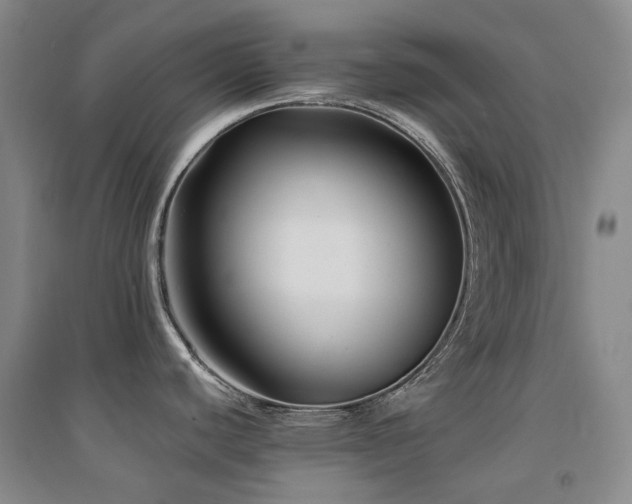 X0000094431440200711081216