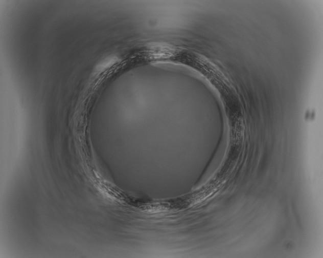 X0000094431441200711081215