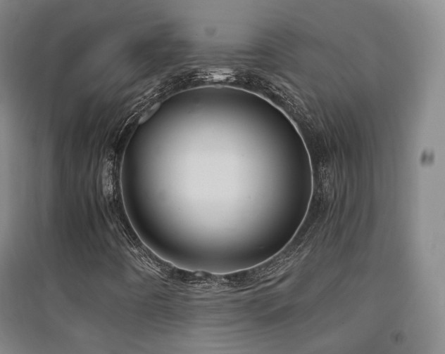 X0000094431442200711081215