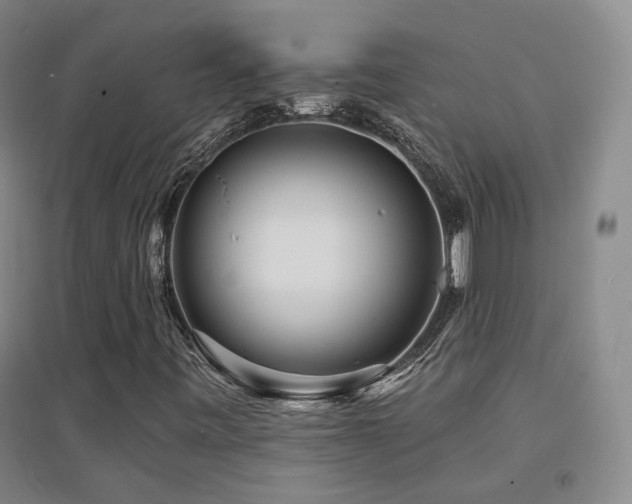 X0000094431443200711081215