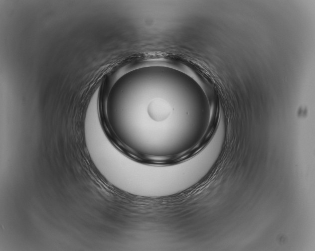 X0000094431444200711081215