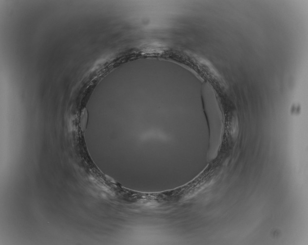 X0000094431445200711081215