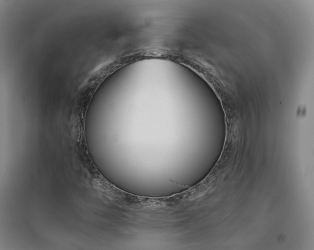 X0000094431446200711081215