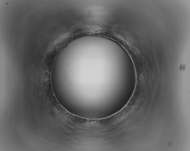 X0000094431447200711081215
