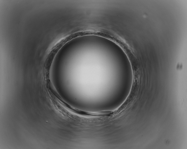 X0000094431448200711081215