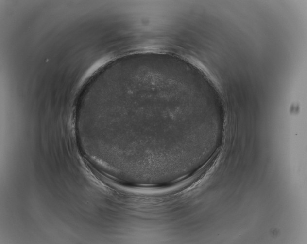X0000094431450200711081215