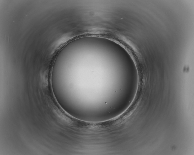 X0000094431451200711081215