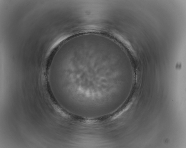 X0000094431453200711081215